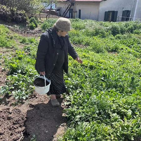 Bed & Breakfast La Veronica *